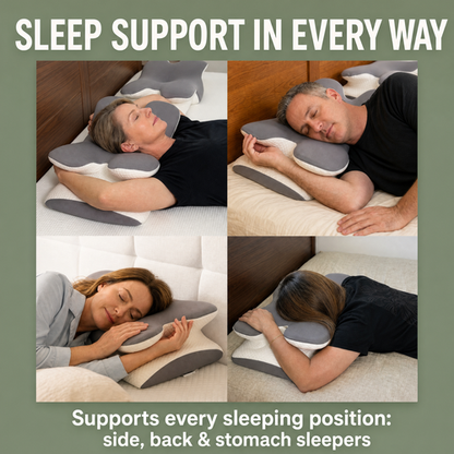 Papillon Dreams Pillow